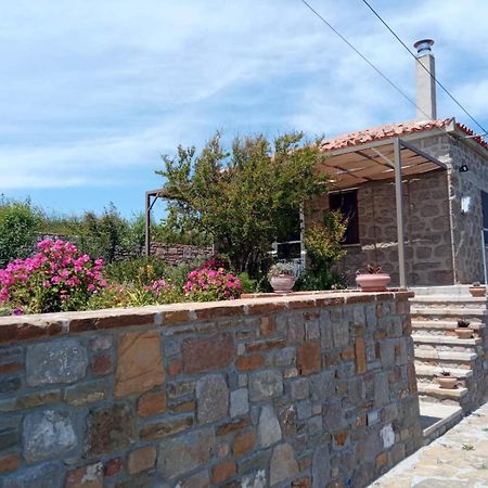 Cozy House With Amazing Sea View Apartment Kaminia  Exterior photo