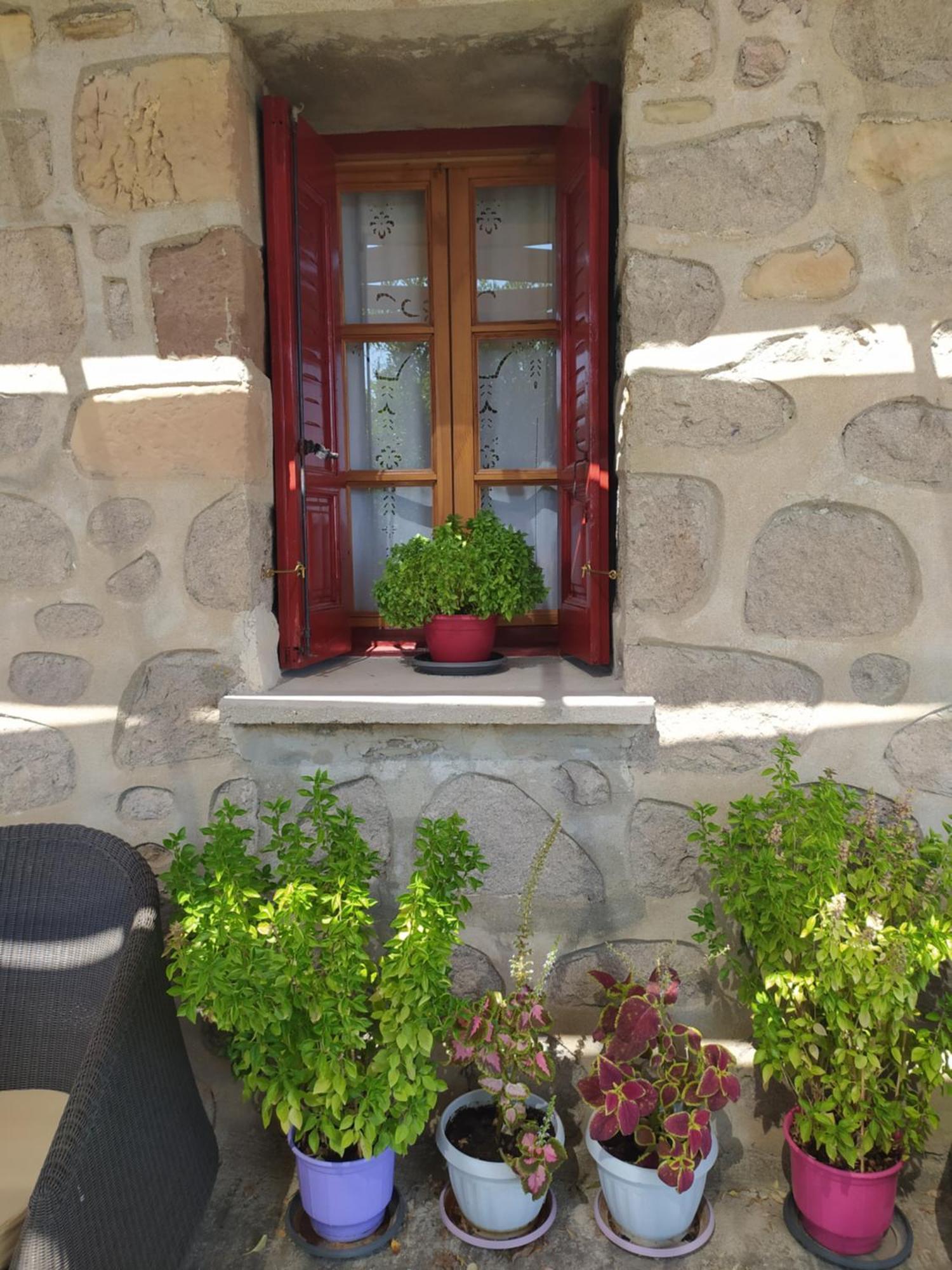 Cozy House With Amazing Sea View Apartment Kaminia  Exterior photo